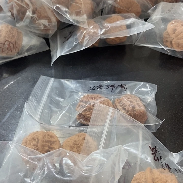 吊坠文玩核桃一单5对555