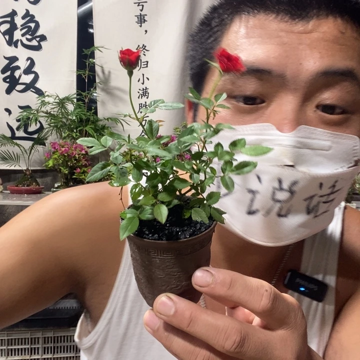 以实际为准退款拉黑103