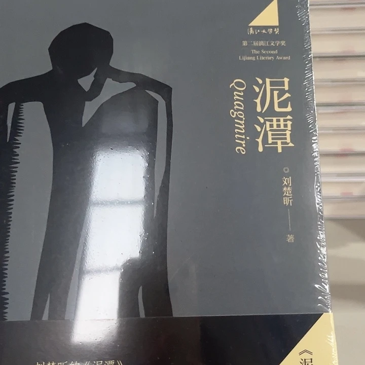 泥潭新书推荐全新