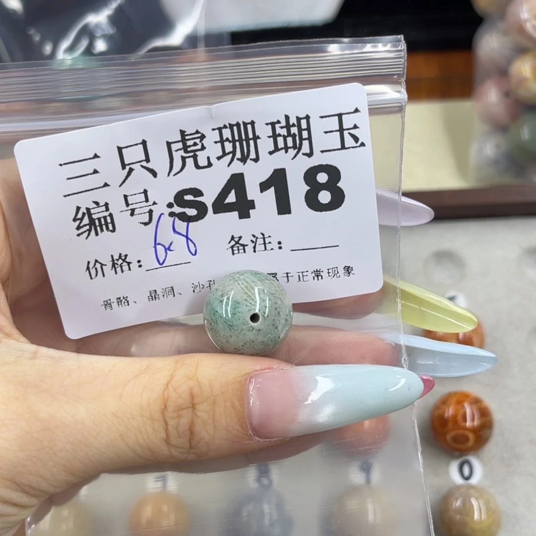 黑***螺硅化珊瑚（珊瑚玉）h银S925镀金镶嵌