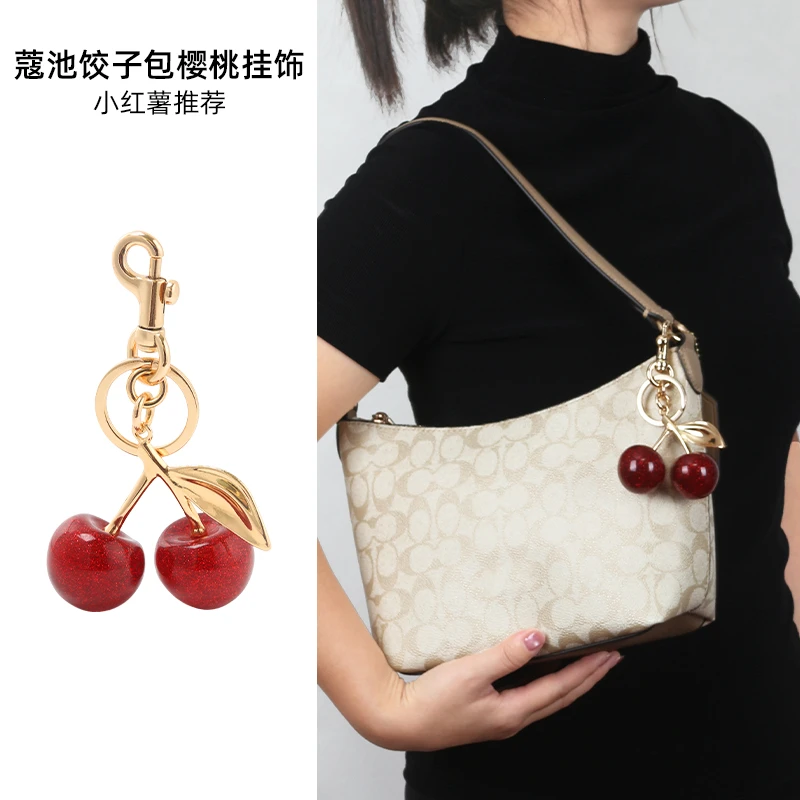 臻饰肩带适用coach蔻驰饺子包装饰链条配件腋下包四叶草樱桃