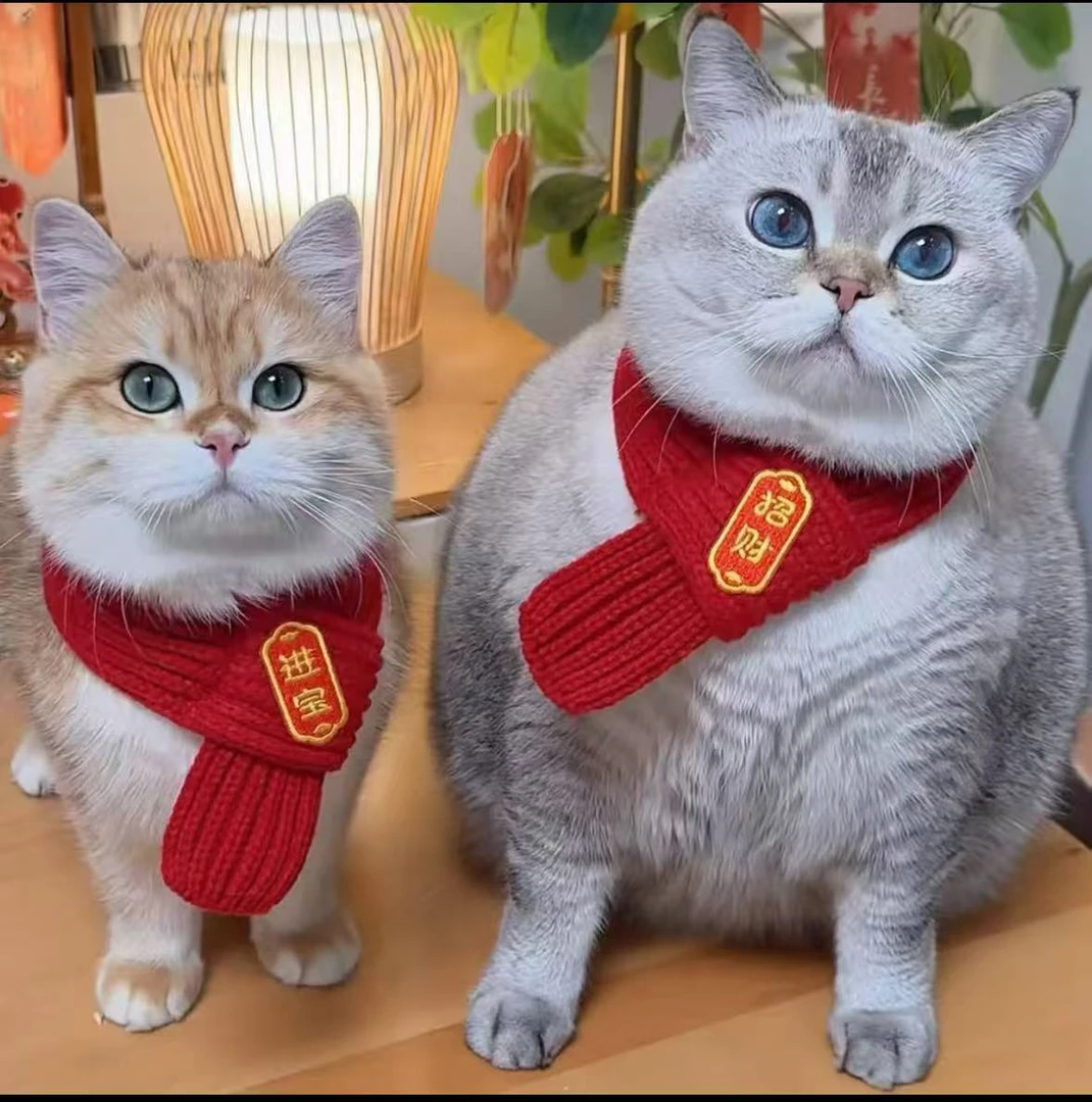 【2025迎新年】猫咪狗宠物围脖针织保暖红色围巾创意可爱