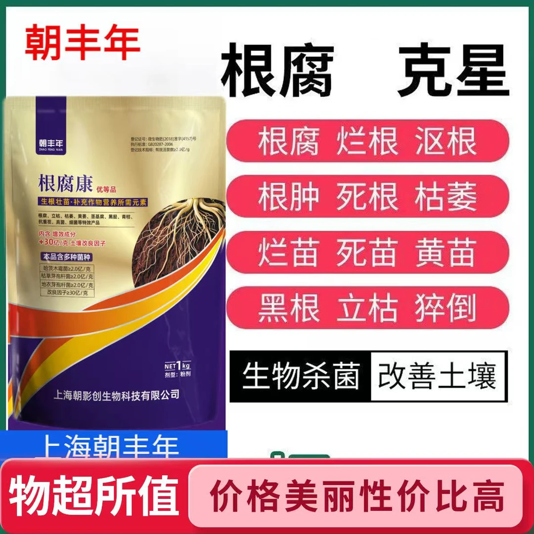 朝丰年地衣芽孢杆菌根腐黄叶根腐专用辣椒增产根腐病枯草芽孢杆菌