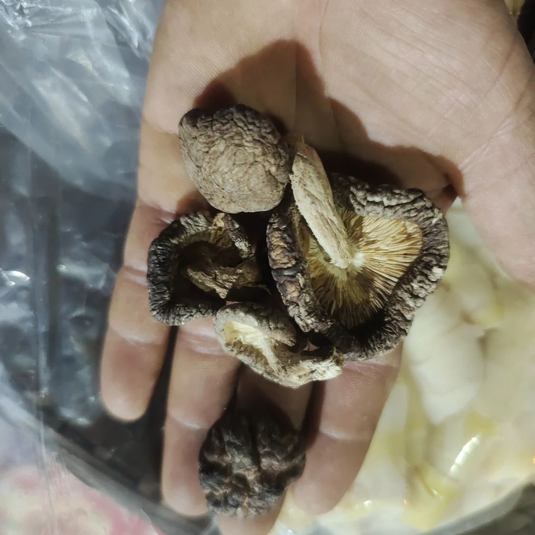 万源市竹峪镇椴木香菇