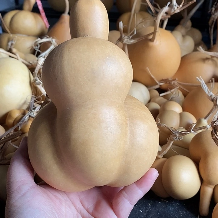 雨*葫芦的颜色是蓝色还是