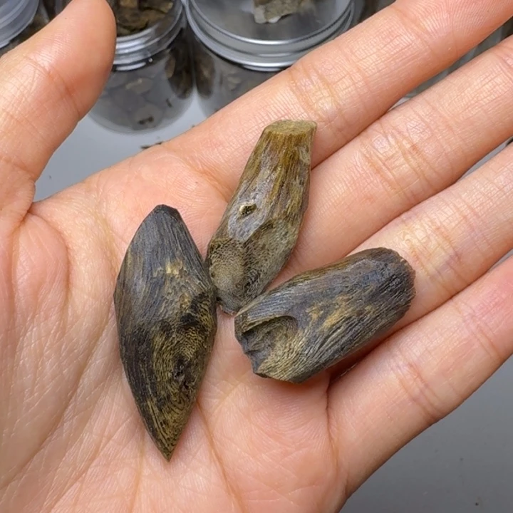 楠木奇楠沉水树钉7克