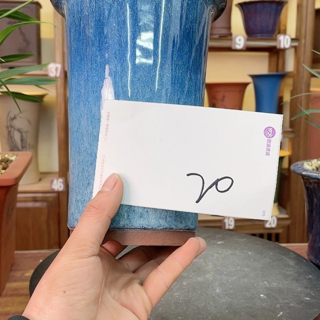 【闪购商品】紫砂花盆?***i兰花852544775547755548