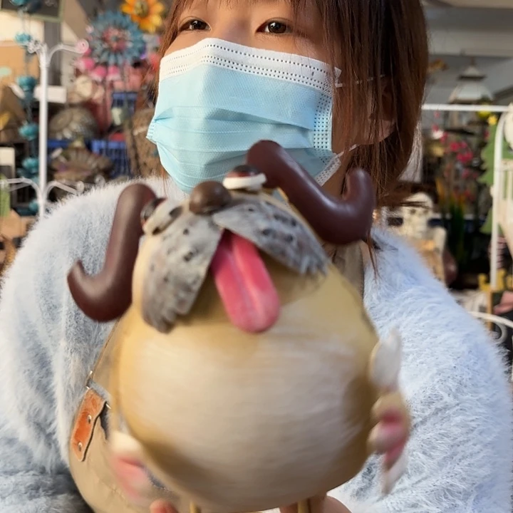 核桃木/黑胡桃（胡桃木）