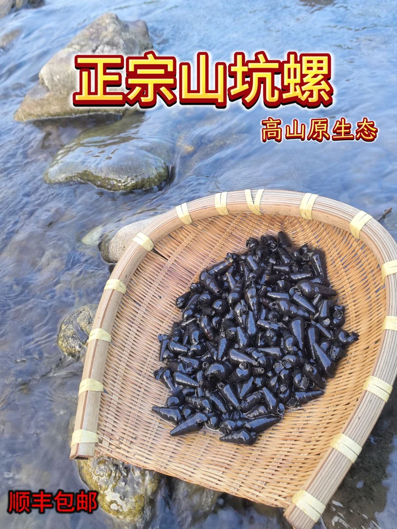 广东淡水山坑螺石螺爽脆鲜甜 顺丰包邮