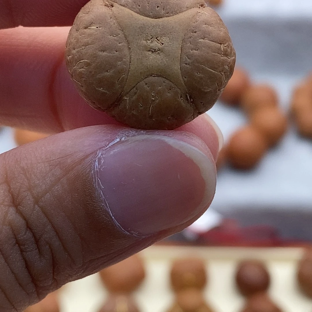 ****傅凤眼菩提吊坠麒麟