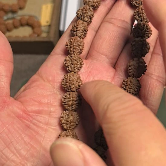 金刚菩提把件龙骨梅花大金刚手持，12左右，原皮原色