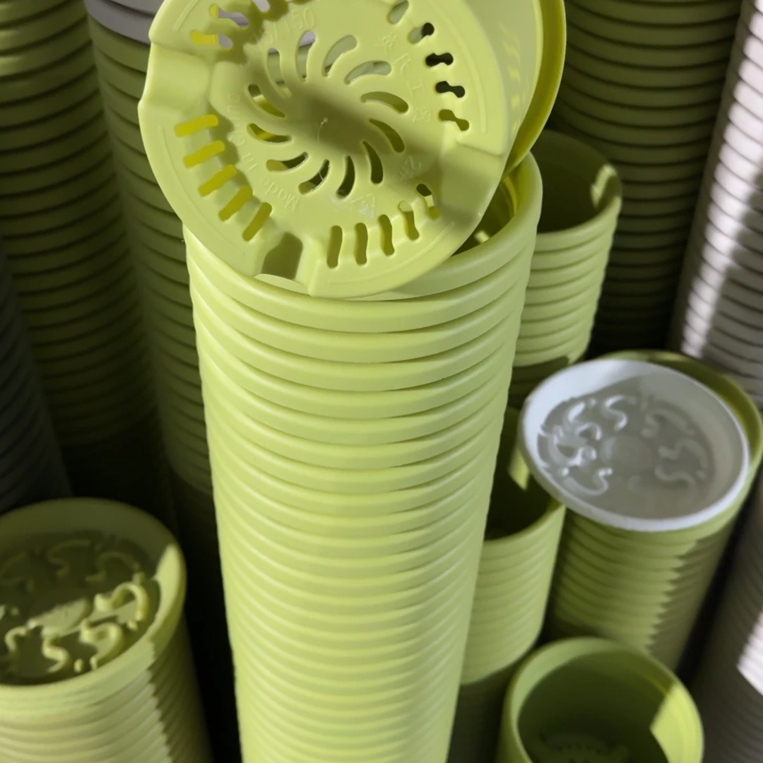 四季2号10个盆10个托盘果绿色的花盆