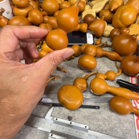 大****大鱼海棠的一把八宝一把八宝葫芦