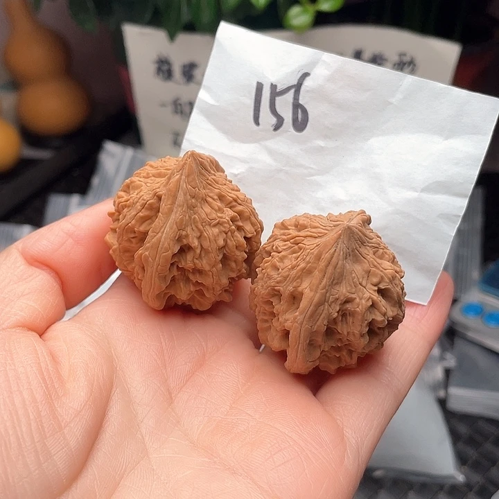 38尺寸白茬大沽石核桃