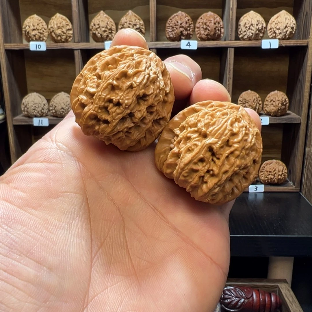 文玩核桃把件白狮子