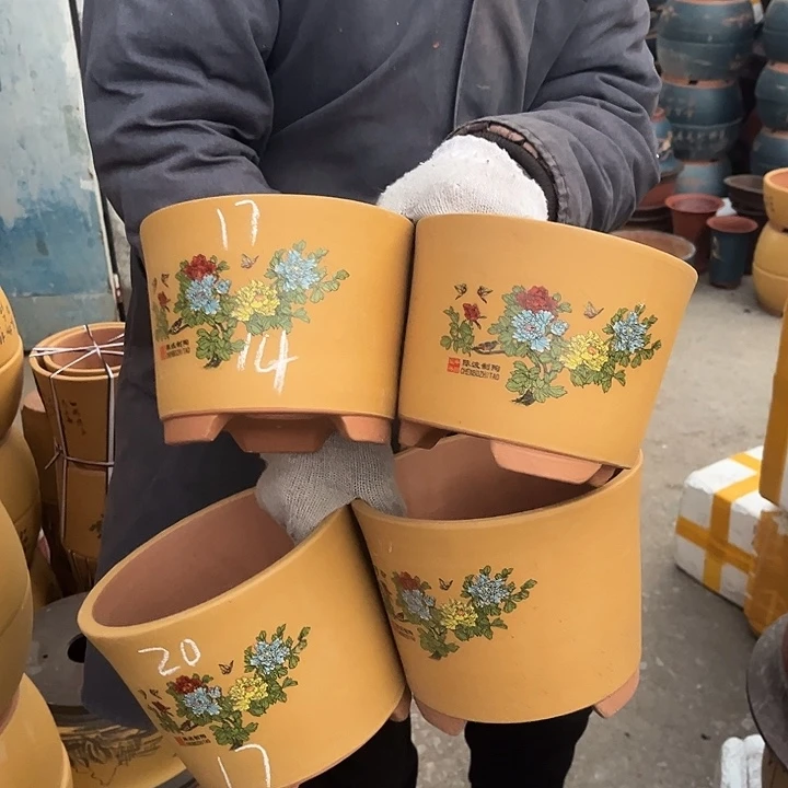 紫砂紫砂花盆和小盆栽