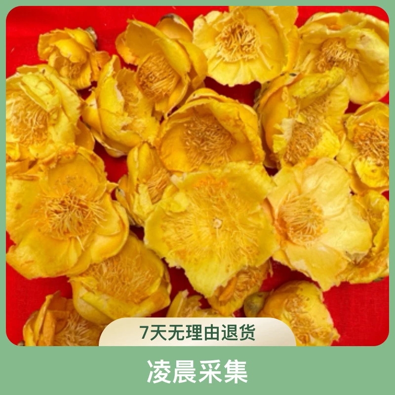 深山好货 源自农家-6金花茶 -参茶