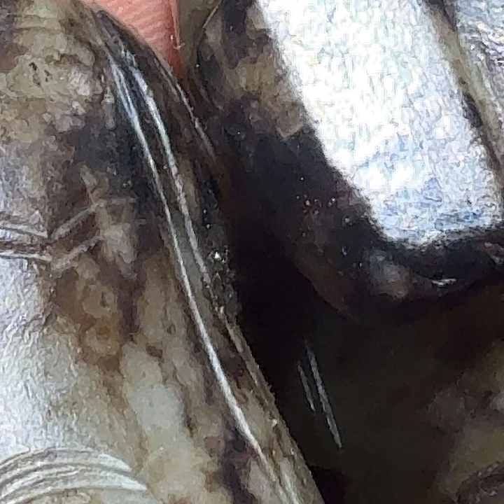 用***0和田玉（糖玉）未镶嵌挂件