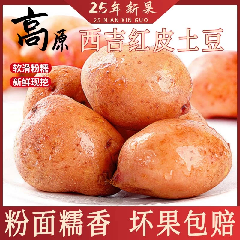 西吉红皮黄心土豆新鲜现挖露天种植洋芋粉面香糯整箱应季蔬菜批发