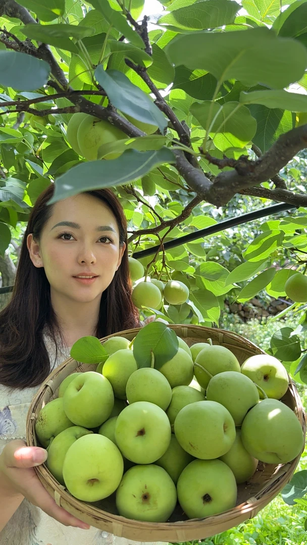 米易高山小蜜梨3斤5斤包邮到家