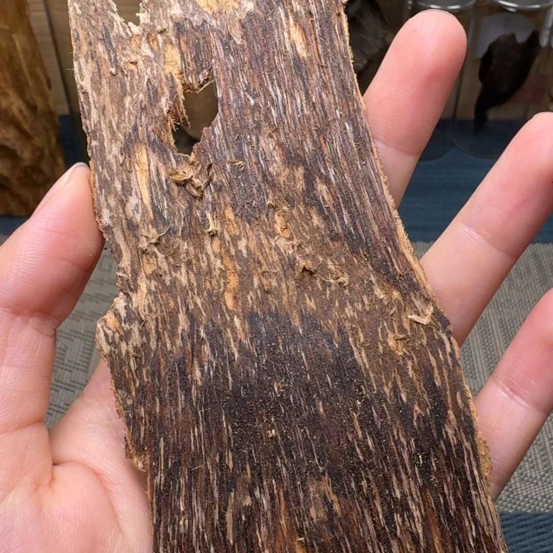 香榧木海南大山青桂6克福利
