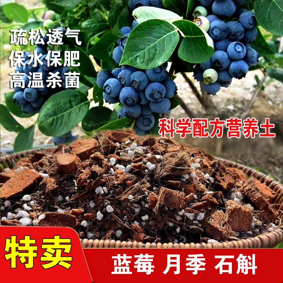 月季石斛绣球沙漠玫瑰天南星科专用型泥炭土