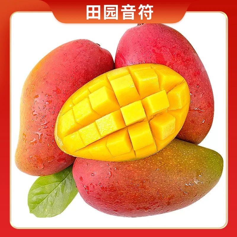 【田园音符】广西贵妃芒5斤 单果200g起