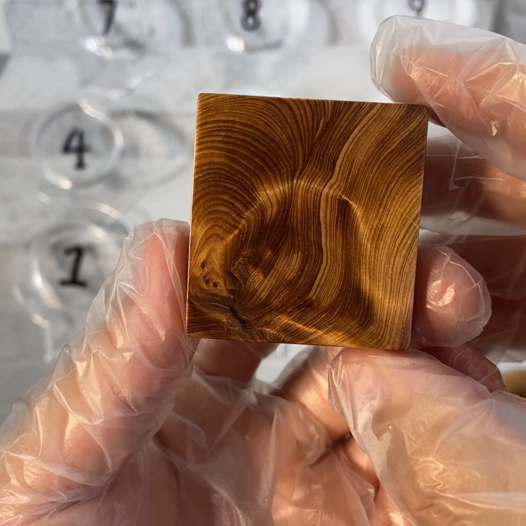 ****里柏木（崖柏）太行崖柏