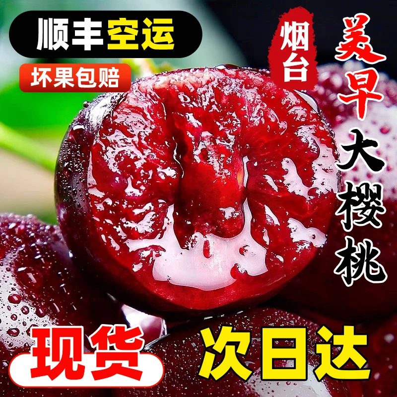 【顺丰空运】烟台美早大樱桃新鲜采摘头茬应季皮薄肉厚核小多汁2J-4J  4斤美早山东省