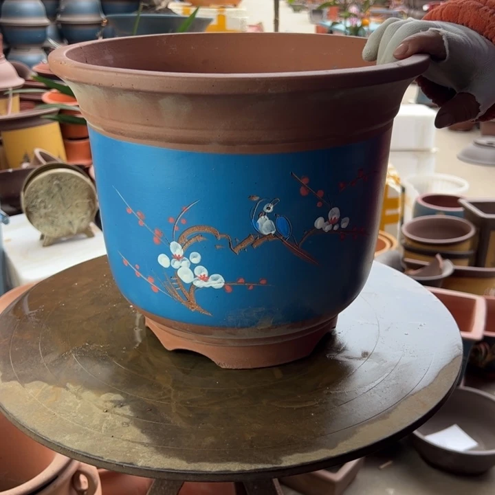 紫砂蓝色点菜金钟30 口径31×26