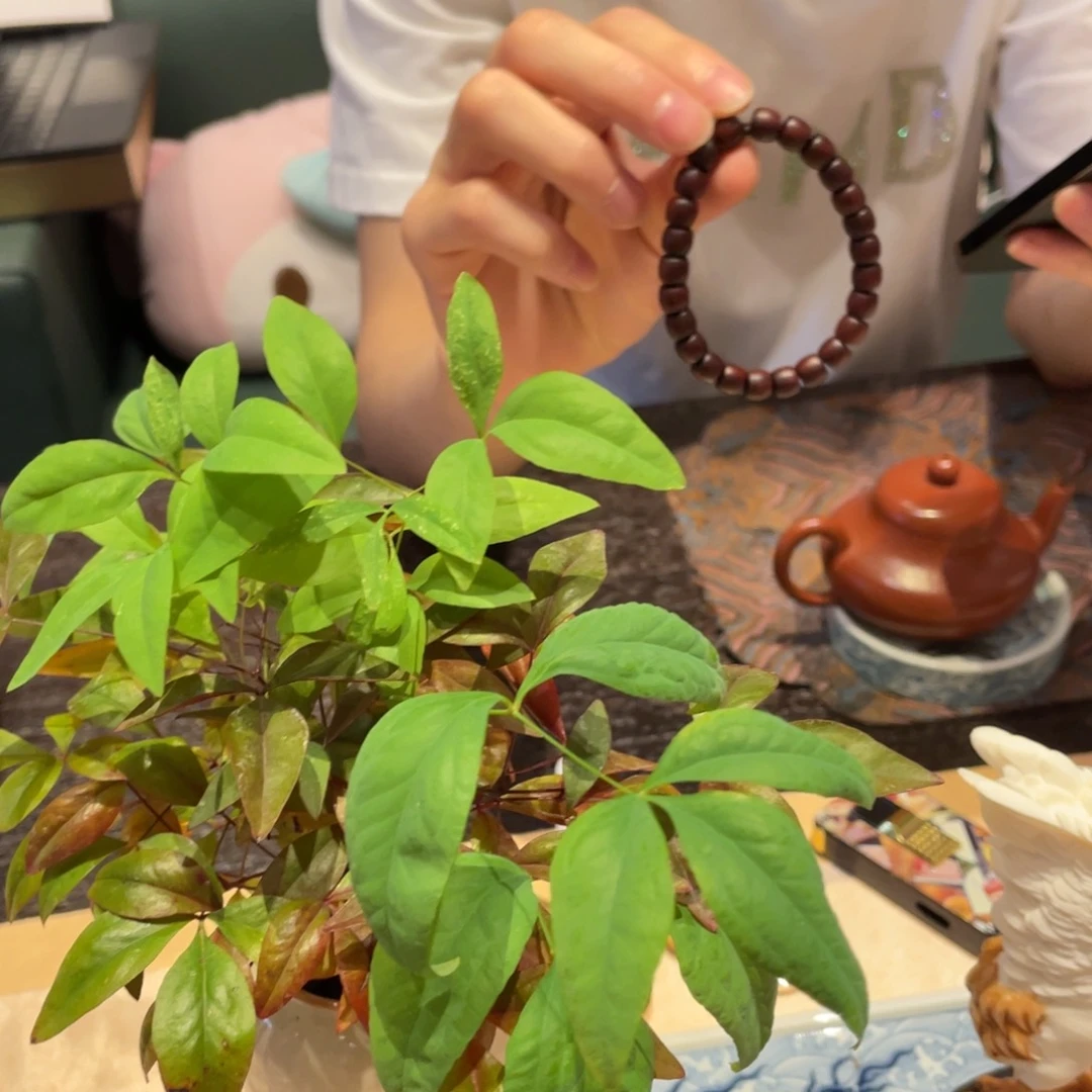 檀香紫檀（小叶紫檀）法*缇