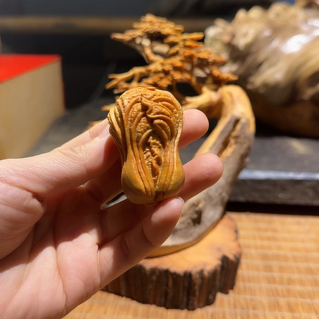 柏木（崖柏）太行崖柏