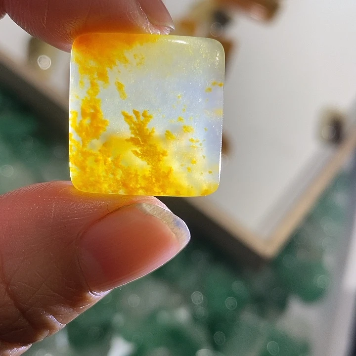 石英质玉（黄龙玉）未镶嵌颈饰