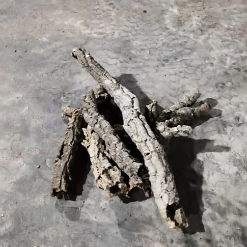 知****顺顺利利，平平安安