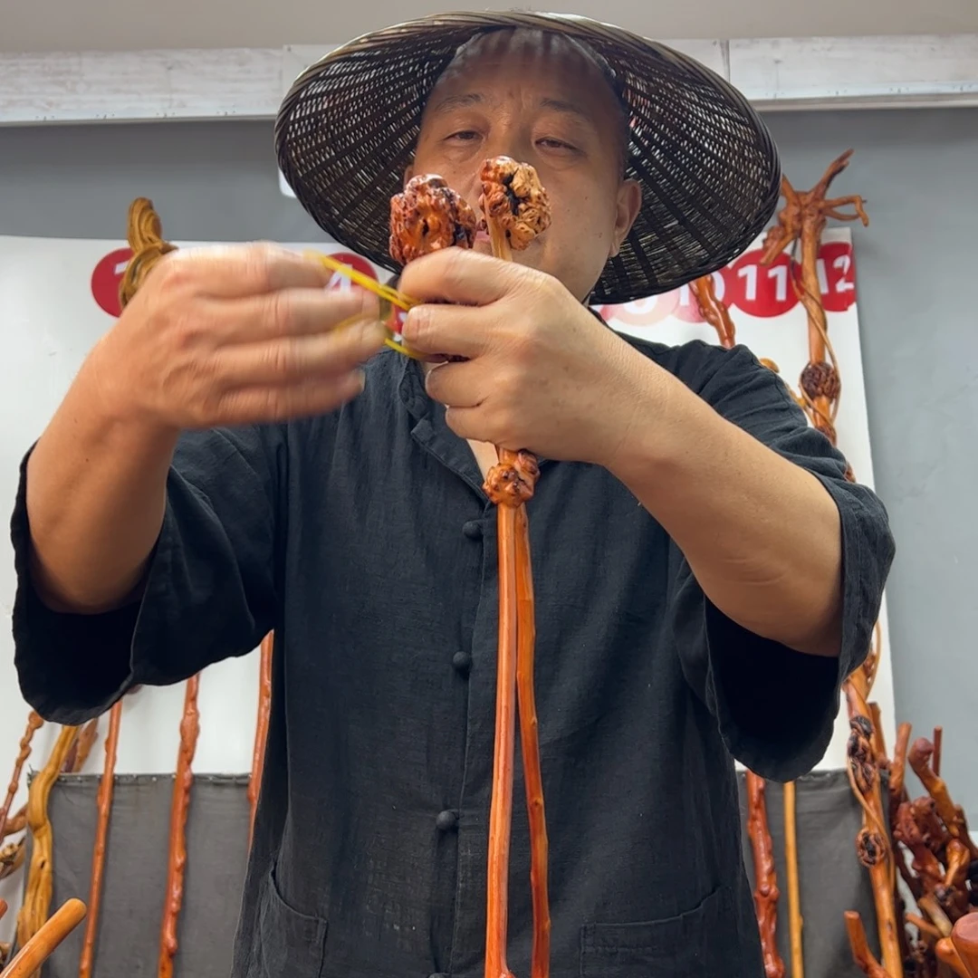神***子黑果木其他黑果木386