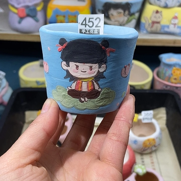 大舅生石花肉锥多肉452