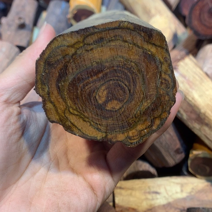 黄花梨/降香黄檀