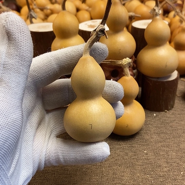 文玩葫芦 完美主义者 慎拍7