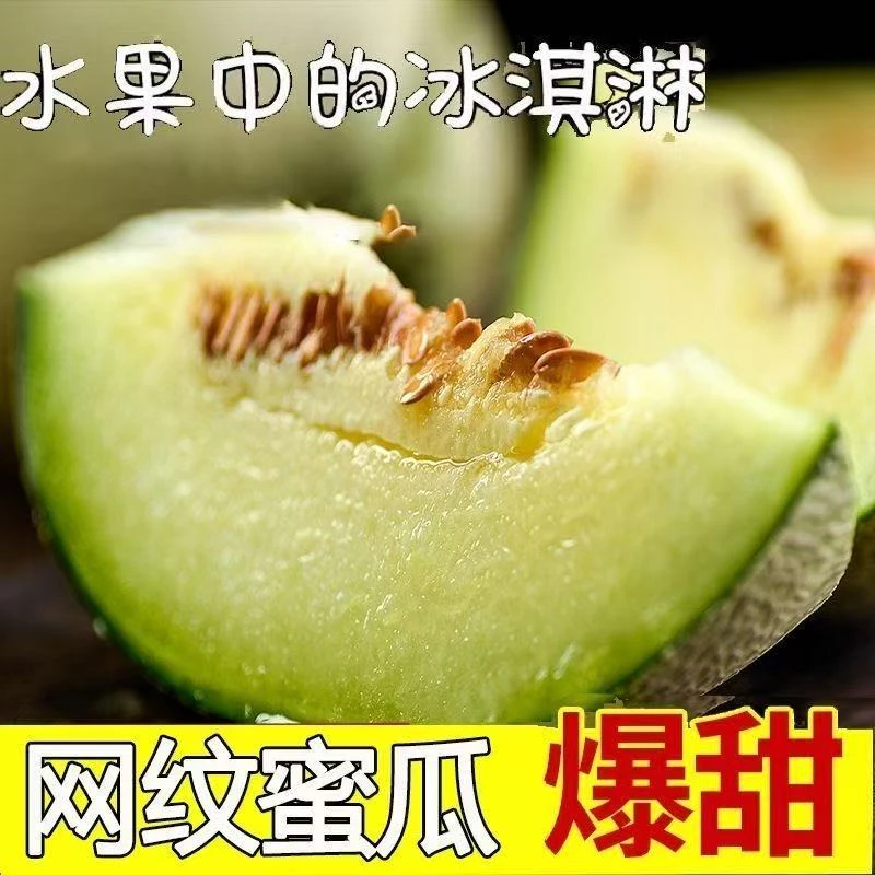 山东海阳网纹瓜新鲜李子水果软糯香甜皮薄肉厚当季李子甜瓜水果