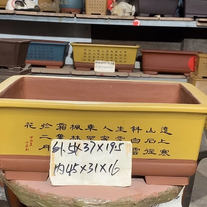 紫砂花盆花盆包邮