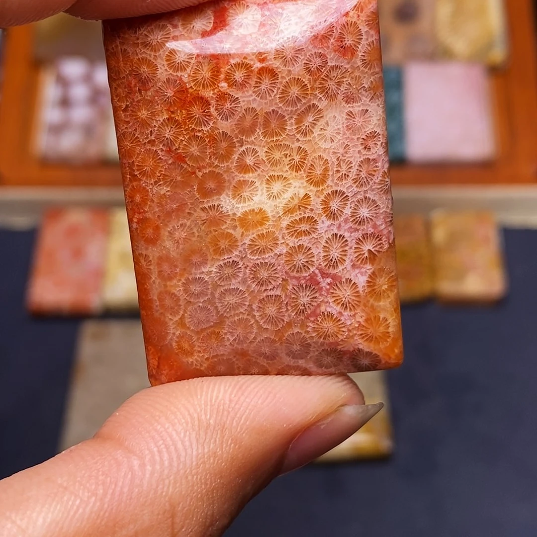 *****硅化玉珊瑚玉合金