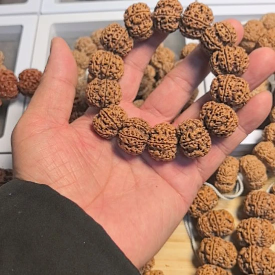 手串金刚菩提六瓣大金刚手串，22+尺寸，原皮原色，精挑细选