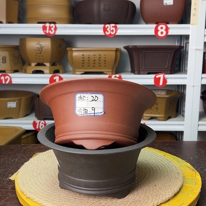 紫砂花盆你在一起