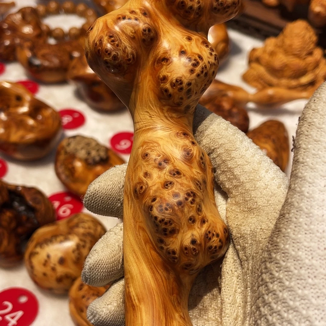 S***️柏木（崖柏）太行崖柏