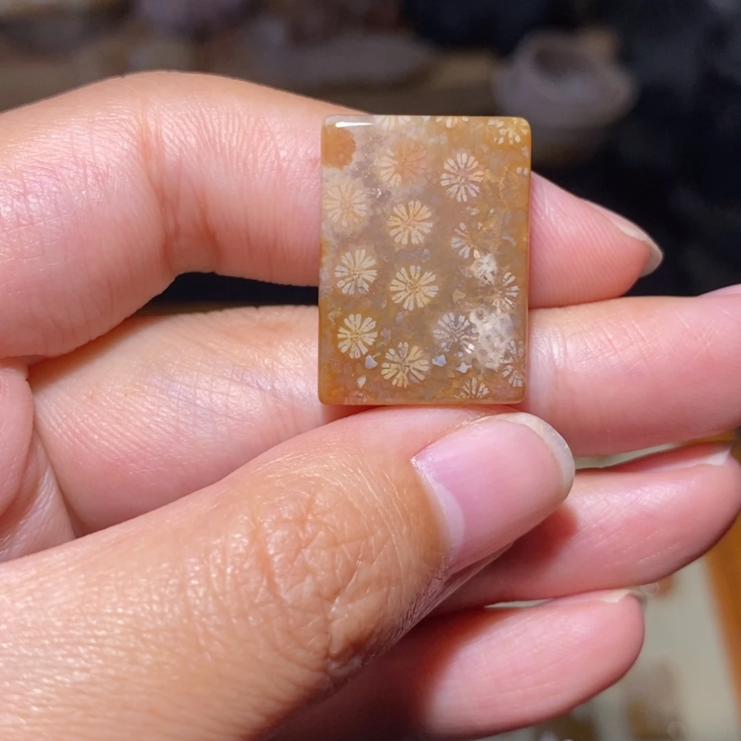 【闪购商品】硅化玉珊瑚玉未镶嵌