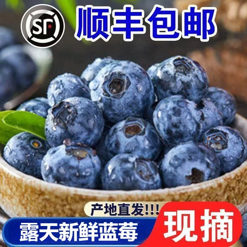 RC山东蓝莓鲜果产地顺丰直发水果零食天然无添加特惠8盒125克/盒
