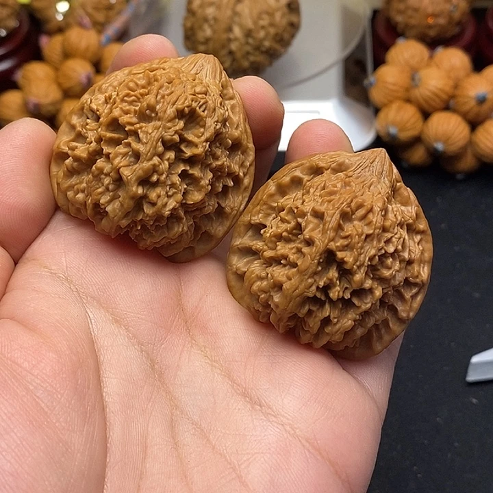 吊坠龙脊菩提满天星