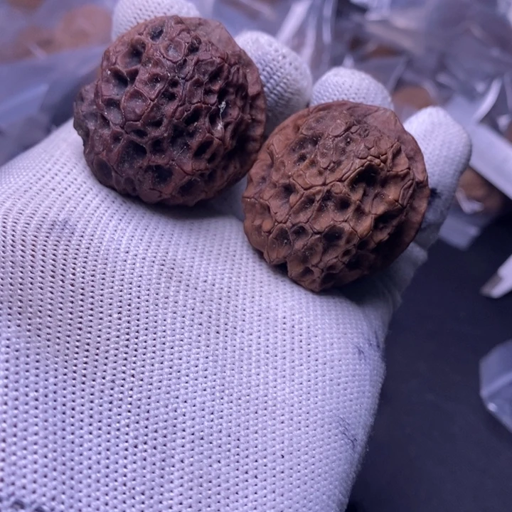 吊坠文玩核桃云南铁核桃炸福利36号