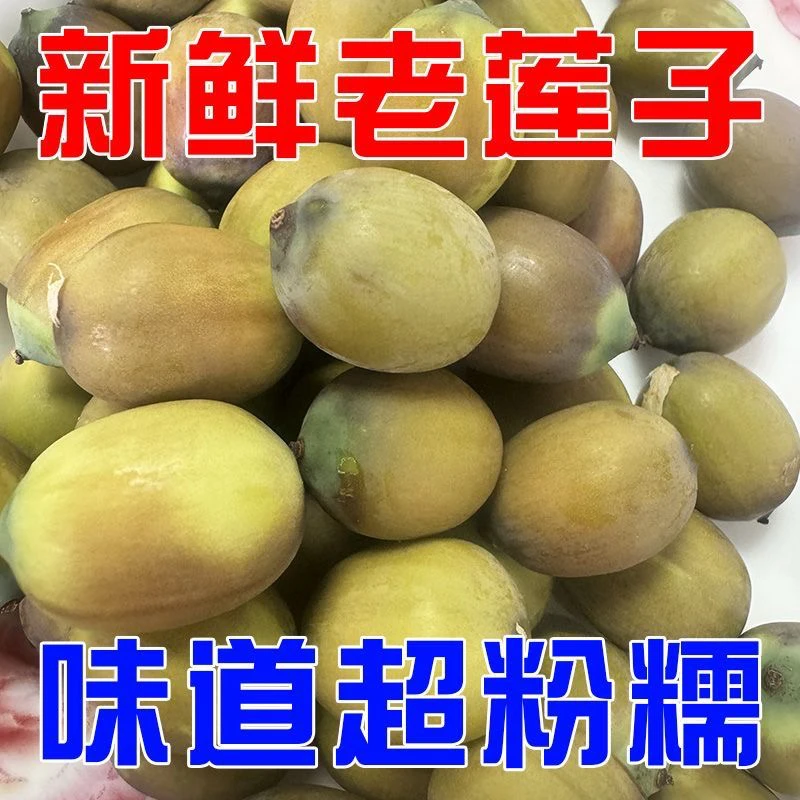【十元五盒】新鲜老莲子米可煲汤煮粥现剥荷花莲蓬果