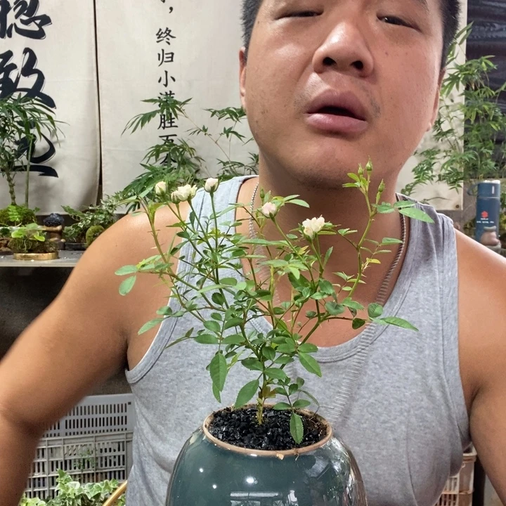 无花朵退款拉黑拉黑20